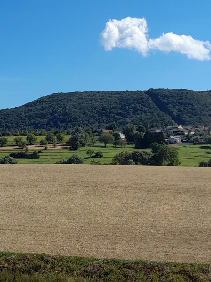 Au Moulin Du Pont Hotell Samognat Eksteriør bilde